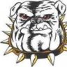 big dawg
