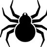 phillyspyder63