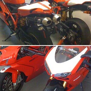my Duc's