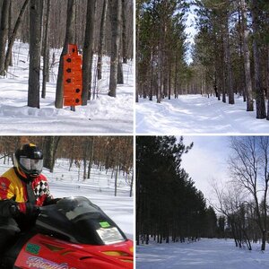 Fun in the snow