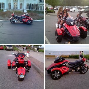 Spyder pictures