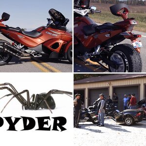 MY spyder