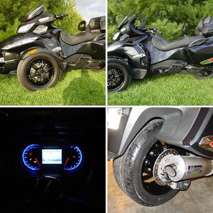 My spyder habit
