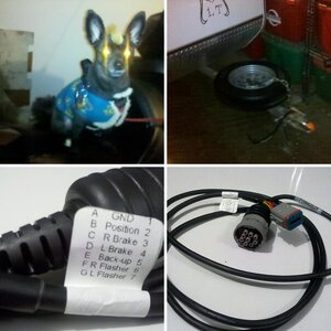 Wiring