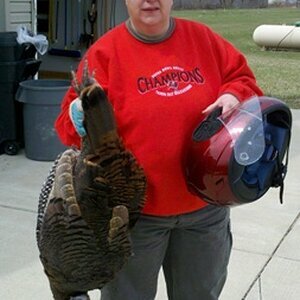 Turkey and me