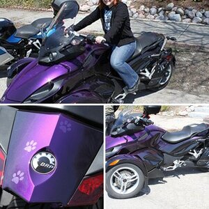 PurpleCat