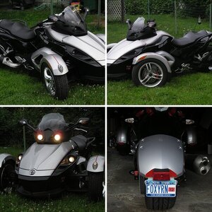 mosslips new ride