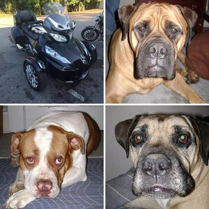 My Rides