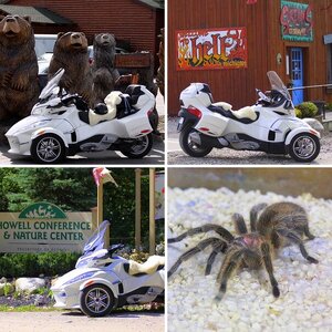 my spyder's travels
