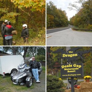 on the dragon