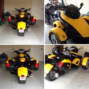 Bumble Bee