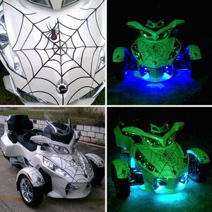 cooters spyder