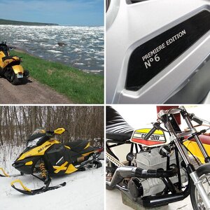 Spyder pics