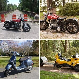 roddenby51