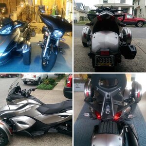 spyders