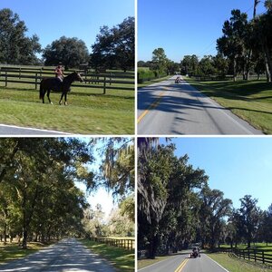 Horse Country Ride