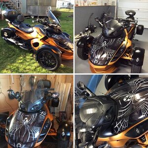 My spyder