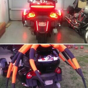 My spyder