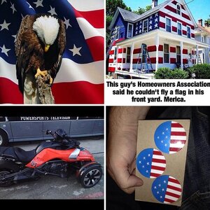 Patrotic🇺🇸