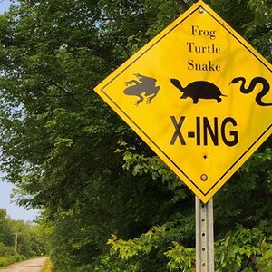 Signs