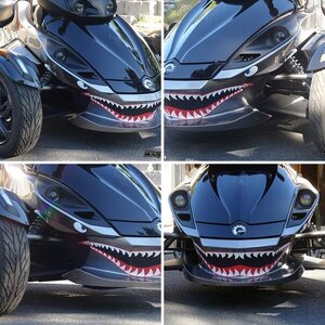 Spyder Teeth Kit