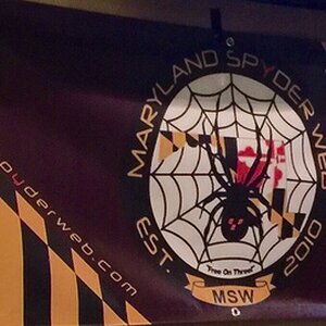 MSW