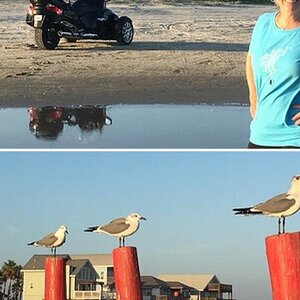 Galveston trip