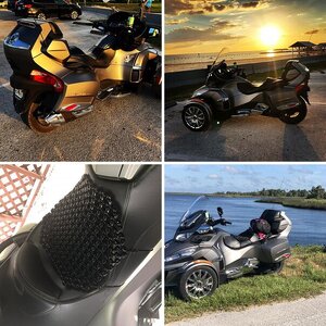 My Ryde