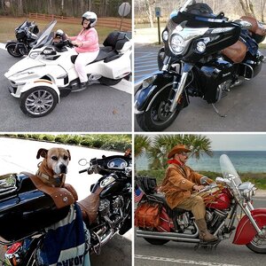 some of our bikes and rides