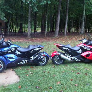 Spyders