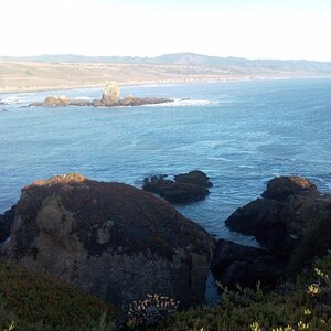 The coast baby!