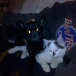 IMG 20101226 005640