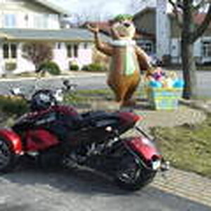 Yogi Bear with a Spyder