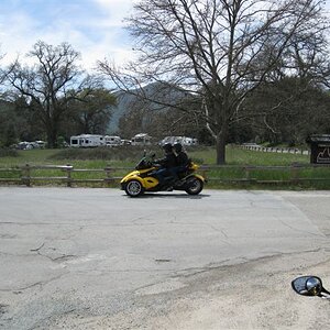 Spyders at Pinnacles 014 (2)