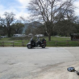 Spyders at Pinnacles 015 (2)