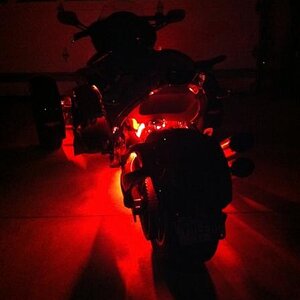 lights Rear