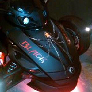 spyder2