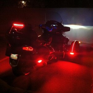 Glowing Spyder