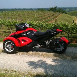 Spyders in the vineyard, May 30, 2011