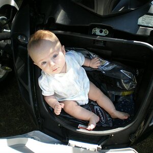 trunk n
