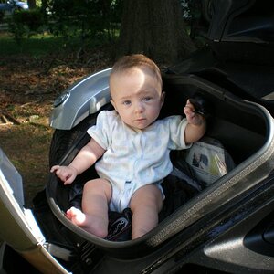 trunk3 n