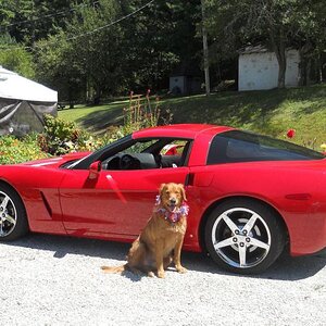 Corvette & rusty