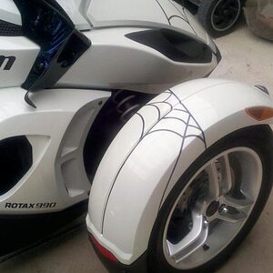 Web for the fender