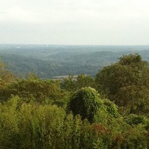 Great View 2