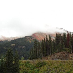 CO Rockies 4