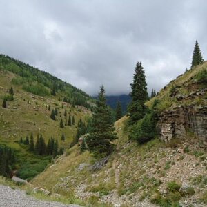 CO Rockies 7
