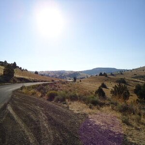 Oregon Scenes 1