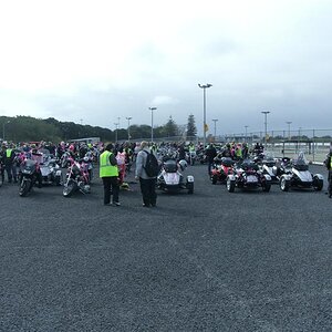 Spyders