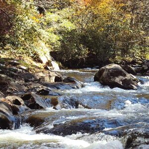 Rapids