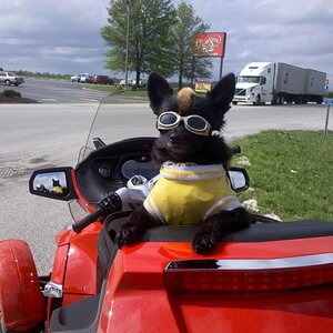 IMG 20110426 165544